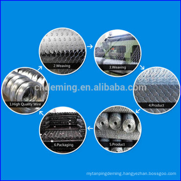 Anping stainless steel hexagonal wire mesh